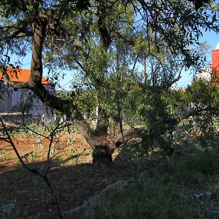 Διαμέρισμα With Parking Space Lumbarda, Korcula - 179